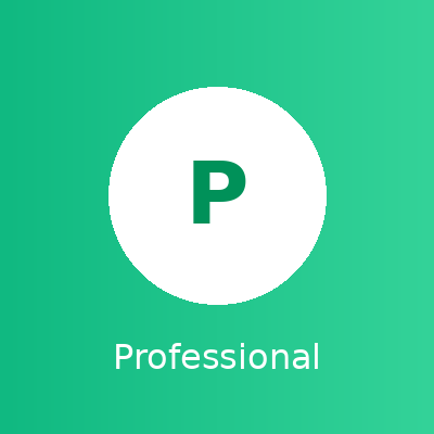 Professional Plan