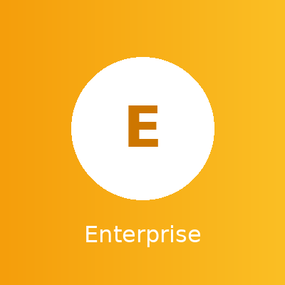 Enterprise Plan